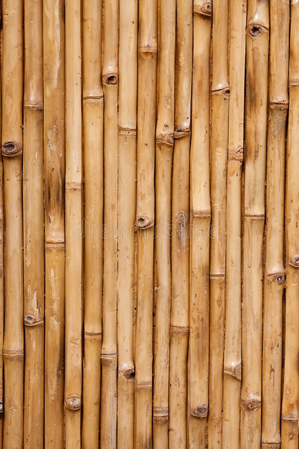 Detail Bambu Background Nomer 26