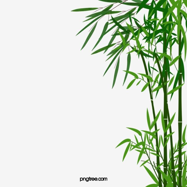 Detail Bambu Background Nomer 29