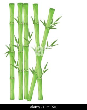 Detail Bambu Background Nomer 34