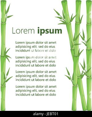 Detail Bambu Background Nomer 45