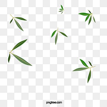 Detail Bambu Background Nomer 51