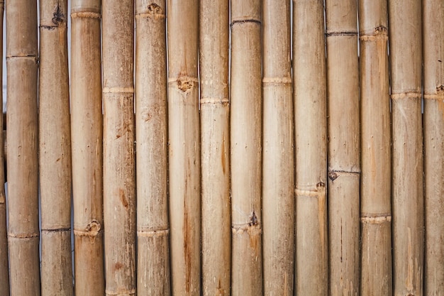 Detail Bambu Background Nomer 55