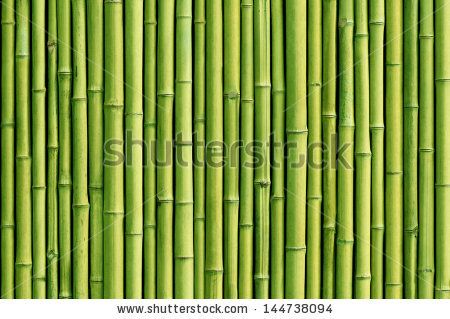 Detail Bambu Background Nomer 9