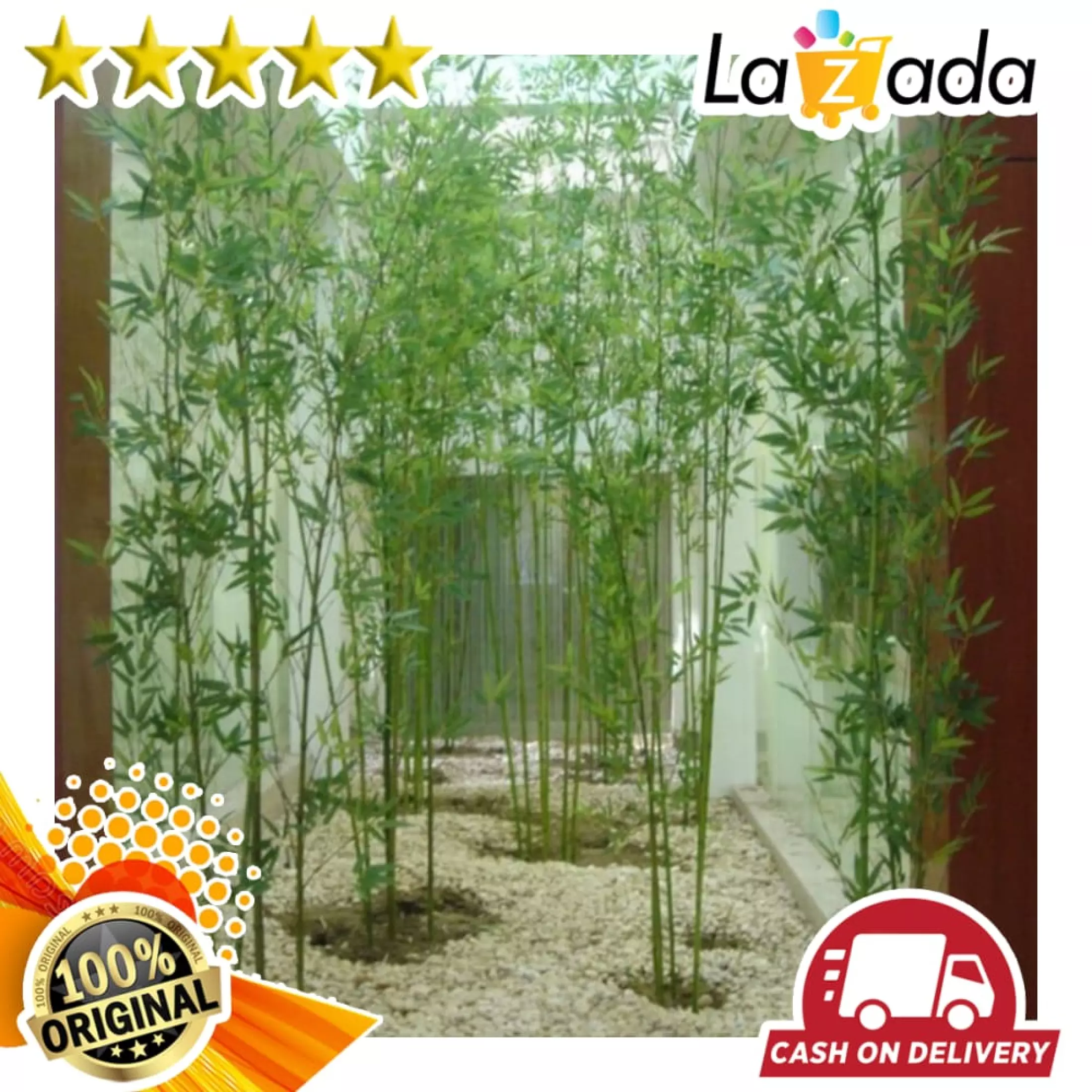 Detail Bambu Cina Kecil Nomer 30