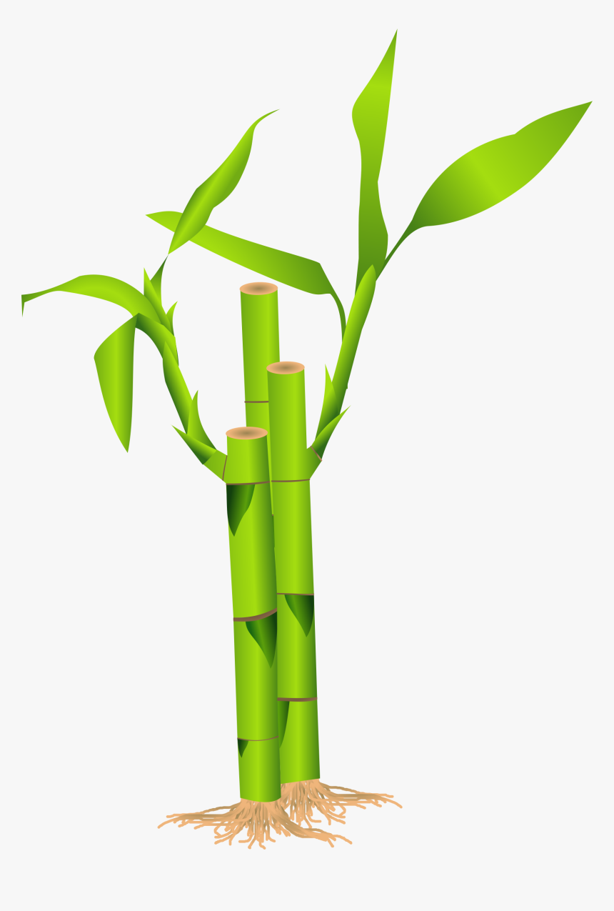 Detail Bambu Clipart Nomer 3