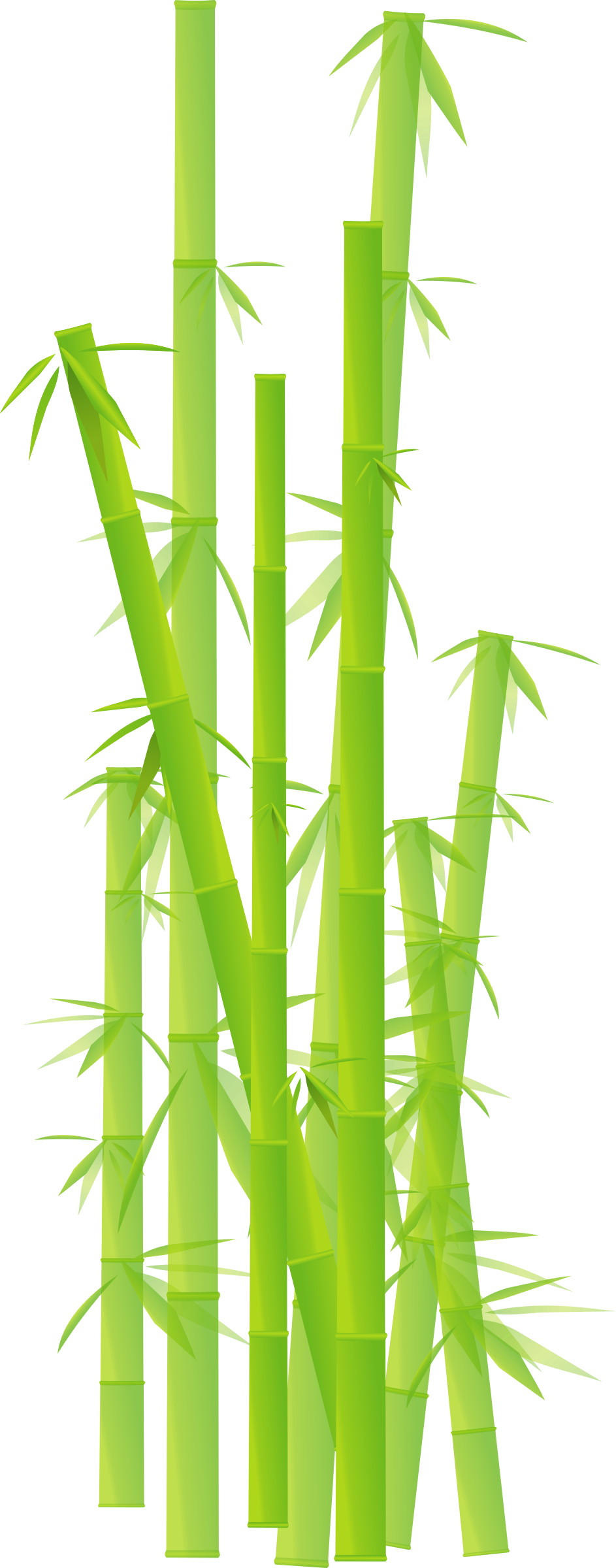 Detail Bambu Clipart Nomer 29