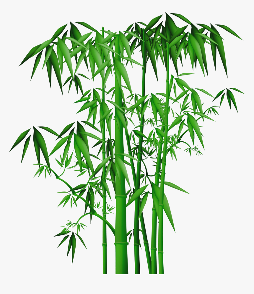 Detail Bambu Clipart Nomer 43