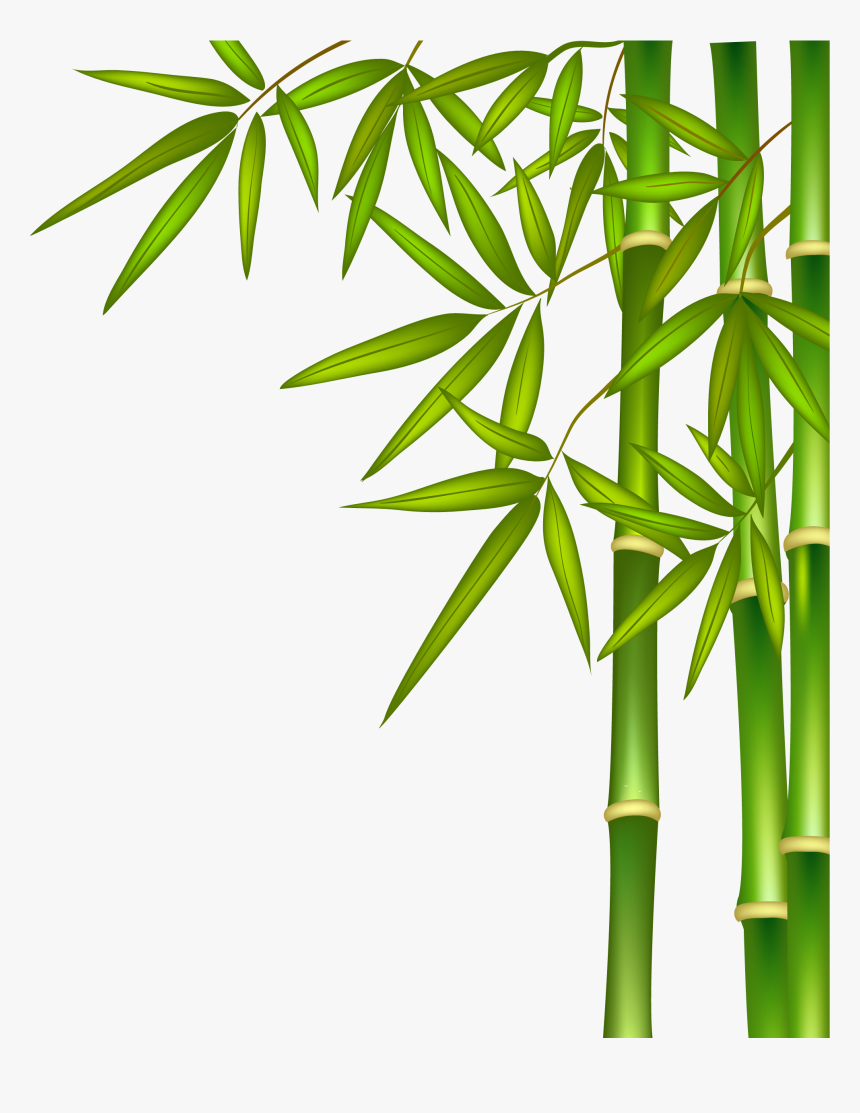 Detail Bambu Clipart Nomer 8