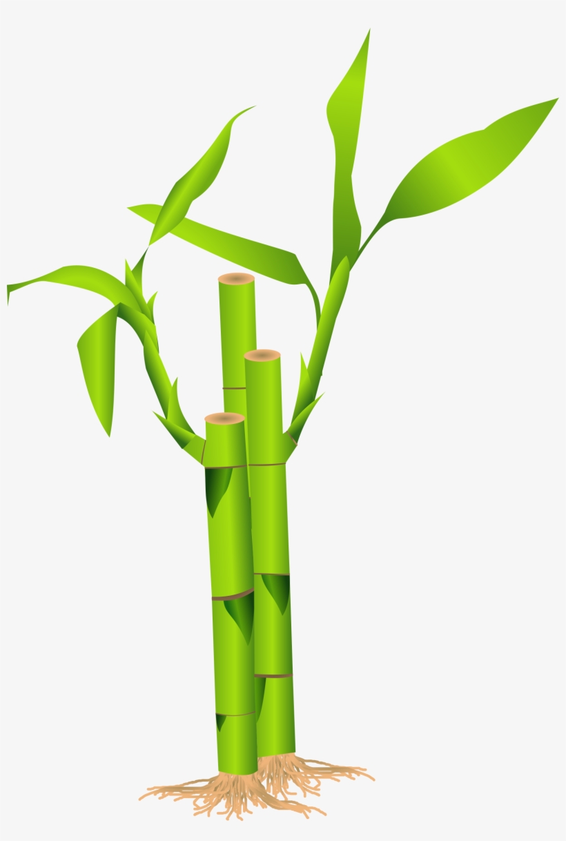 Detail Bambu Vector Png Nomer 11