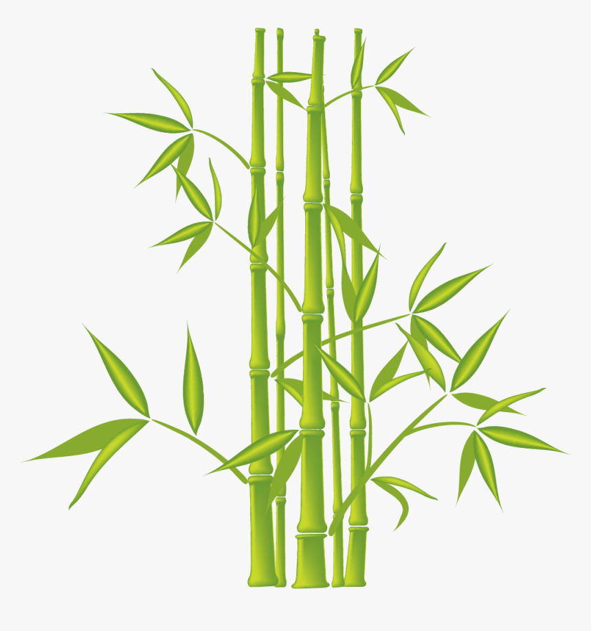 Detail Bambu Vector Png Nomer 17