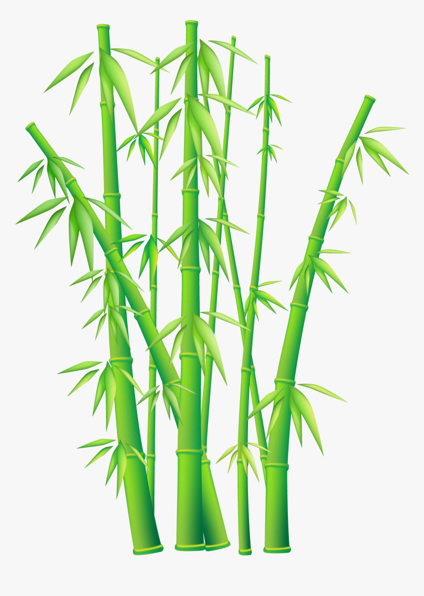 Detail Bambu Vector Png Nomer 20