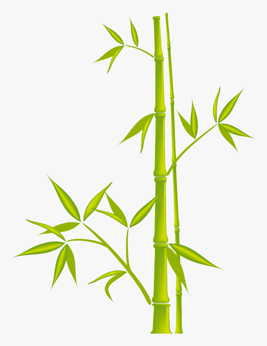 Detail Bambu Vector Png Nomer 27
