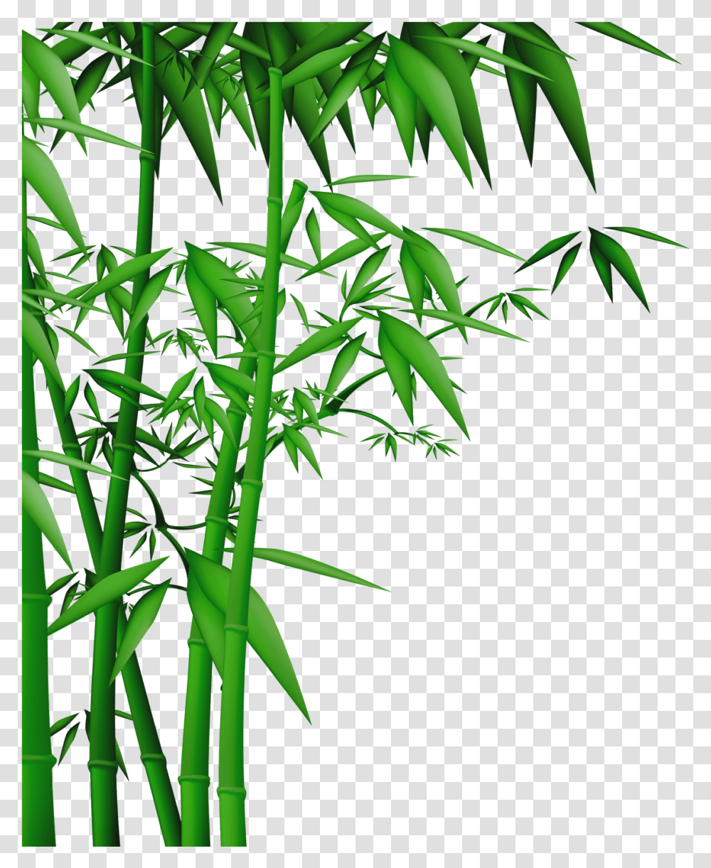 Detail Bambu Vector Png Nomer 4