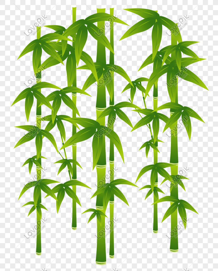 Detail Bambu Vector Png Nomer 31