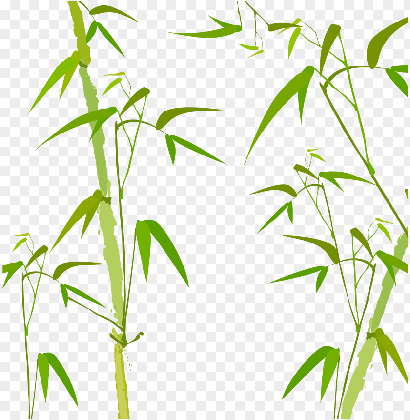 Detail Bambu Vector Png Nomer 6