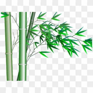Detail Bambu Vector Png Nomer 48