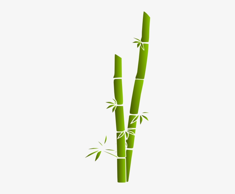 Detail Bambu Vector Png Nomer 10