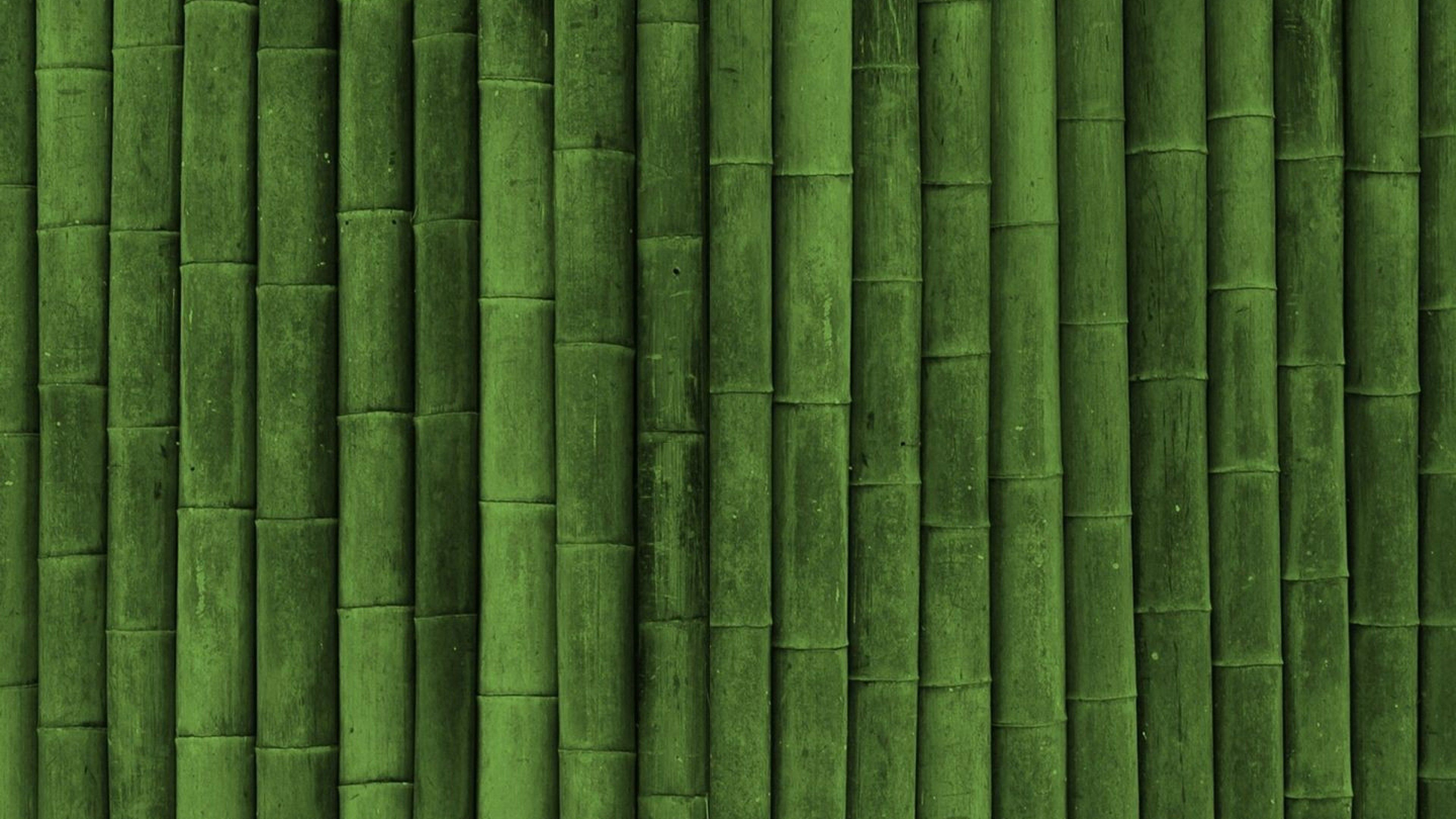 Detail Bambu Wallpaper Hd Nomer 33