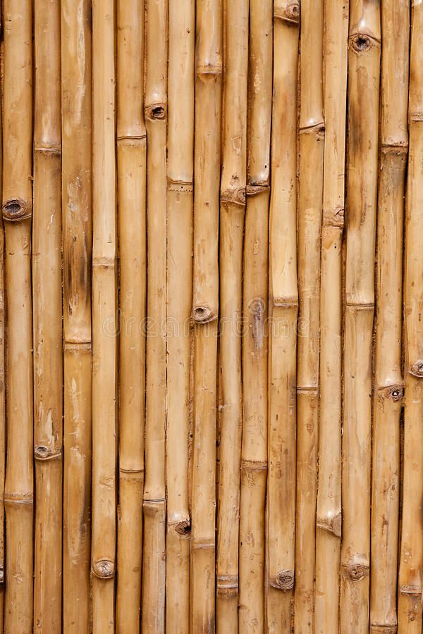 Detail Bambu Wallpaper Hd Nomer 36