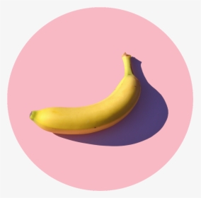 Detail Banana Background Tumblr Nomer 49