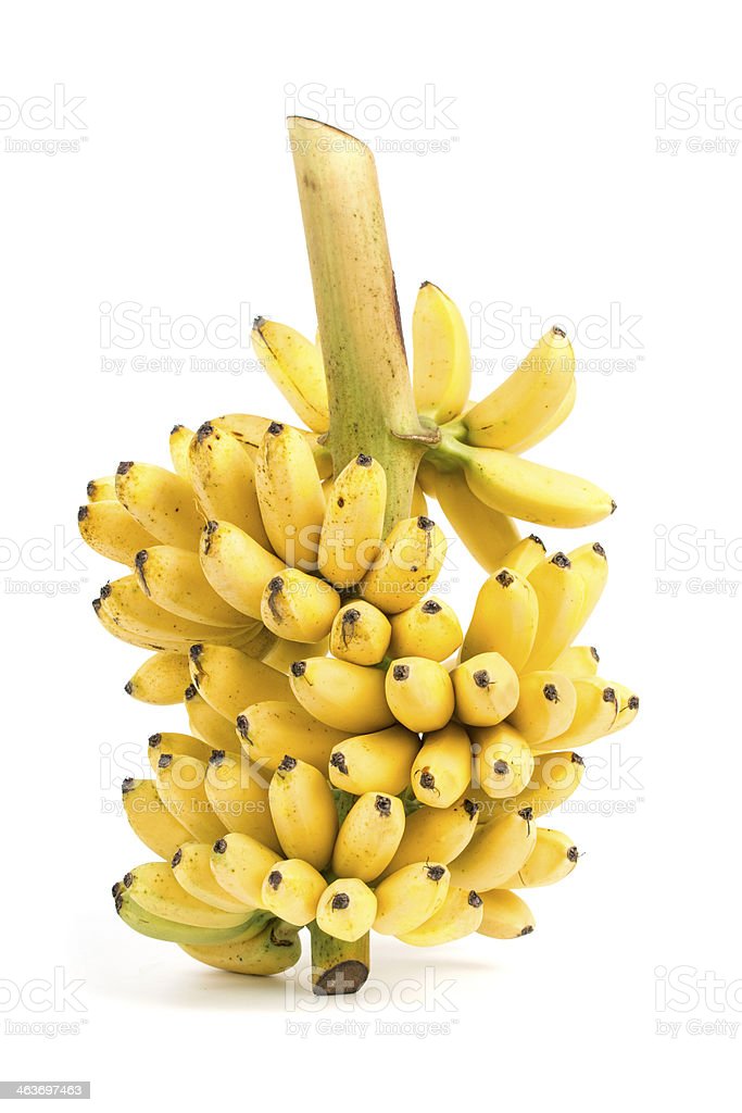 Detail Banana Download Nomer 31