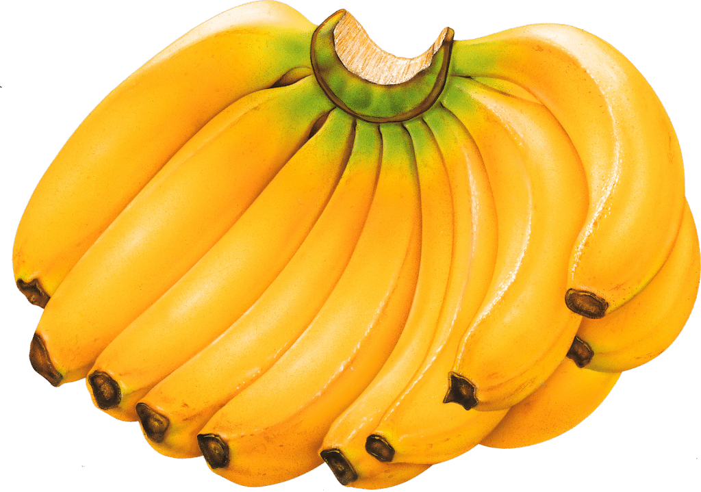 Detail Banana Fruit Images Nomer 41