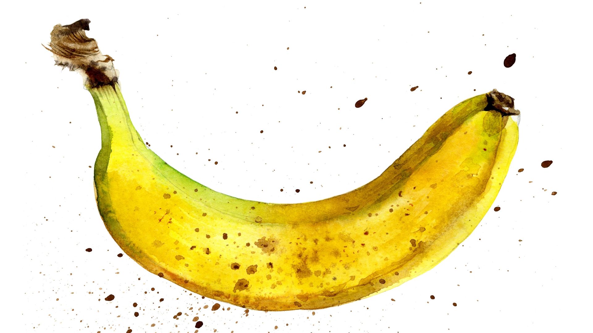 Detail Banana Fruit Images Nomer 47