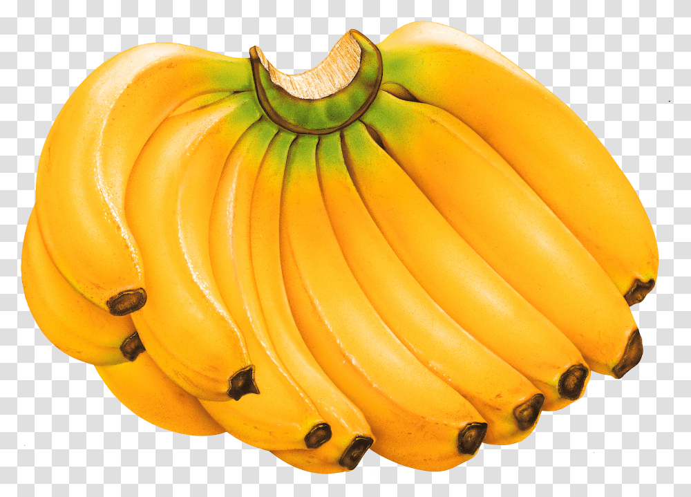 Detail Banana Fruits Images Nomer 30