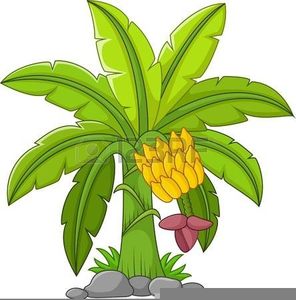 Detail Banana Leaf Clipart Nomer 38