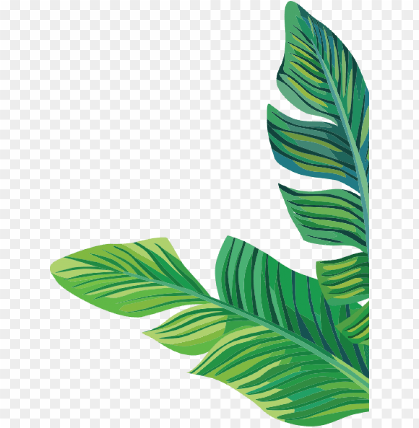 Detail Banana Leaf Clipart Nomer 5