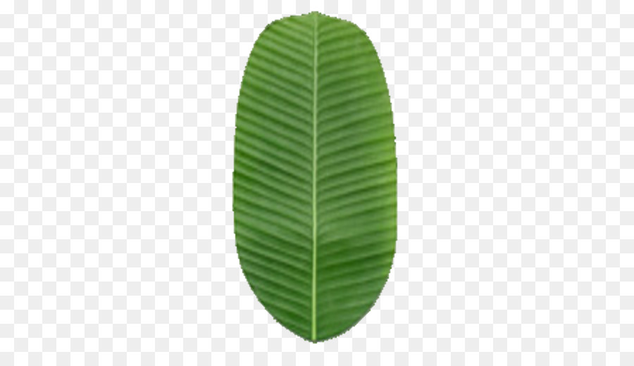 Detail Banana Leaf Clipart Nomer 51