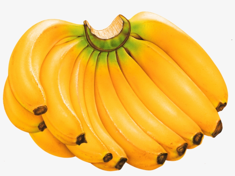 Detail Banana Png Vector Nomer 29