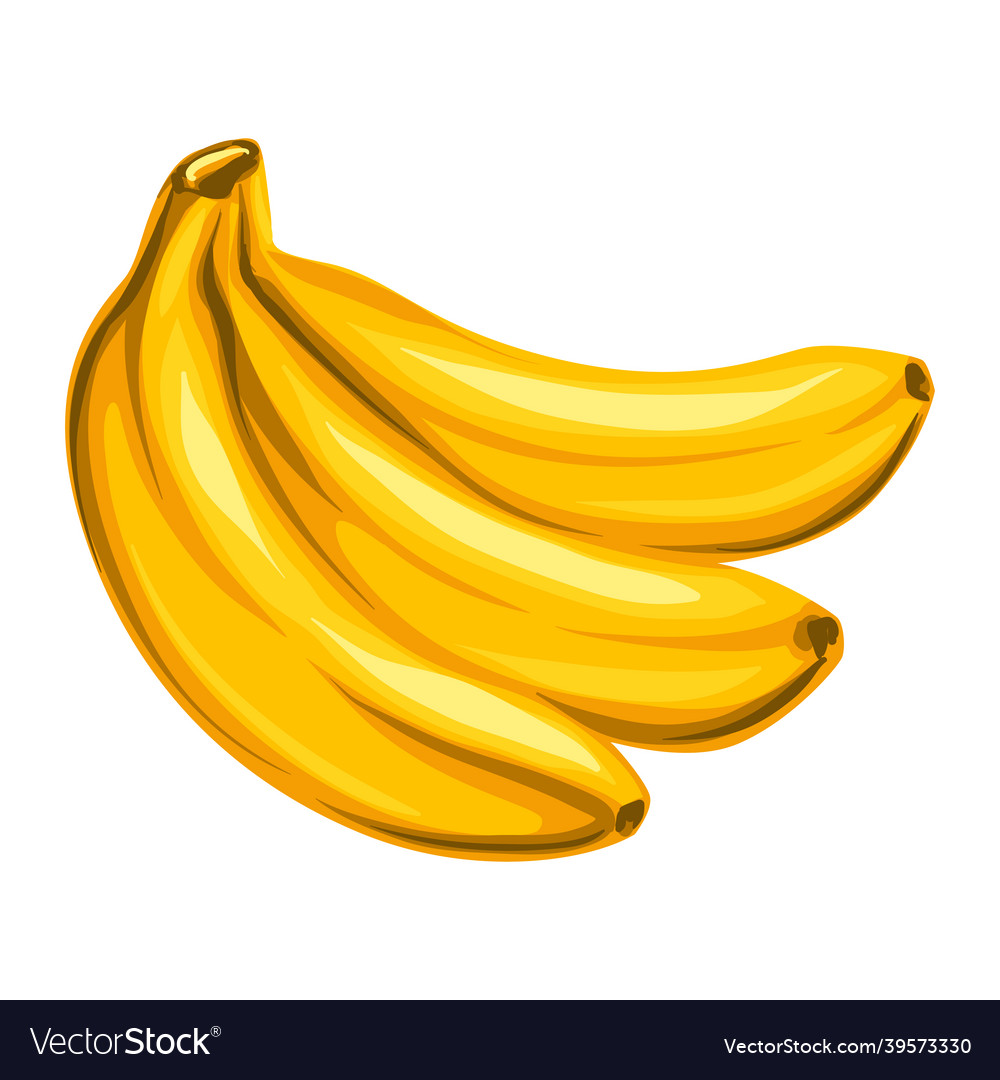 Detail Banana Png Vector Nomer 57