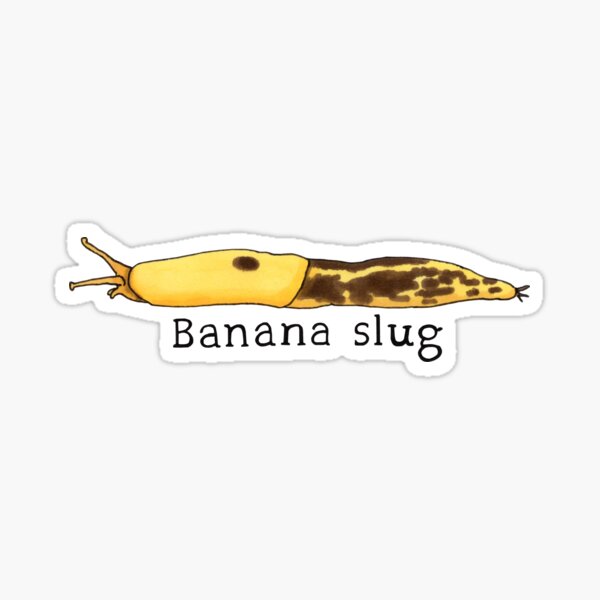 Detail Banana Slug Sticker Nomer 3