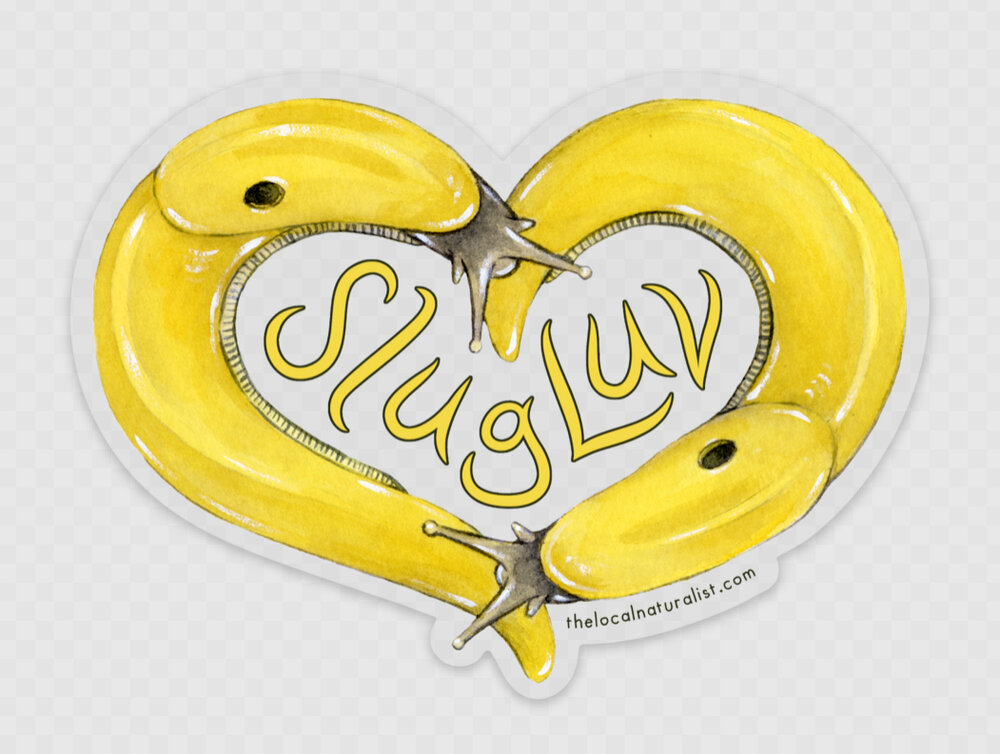 Detail Banana Slug Sticker Nomer 46