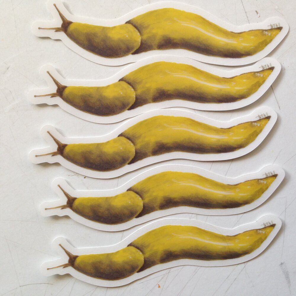 Detail Banana Slug Sticker Nomer 6