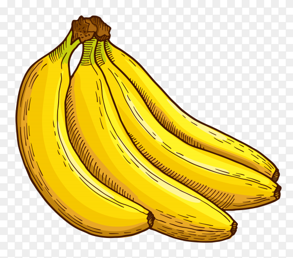 Detail Banana Transparent Background Nomer 34