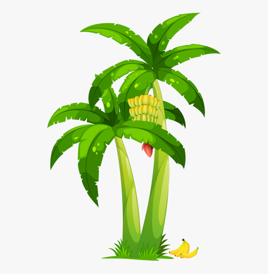 Detail Banana Tree Clipart Nomer 15