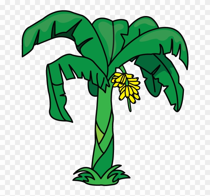 Detail Banana Tree Clipart Nomer 16