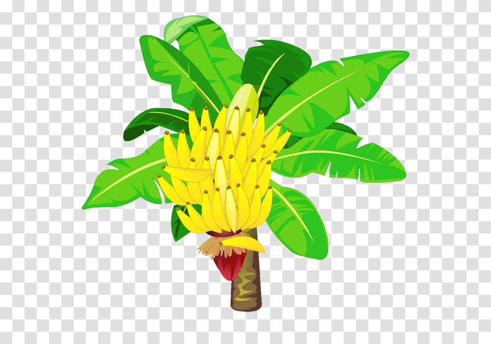 Detail Banana Tree Clipart Nomer 33