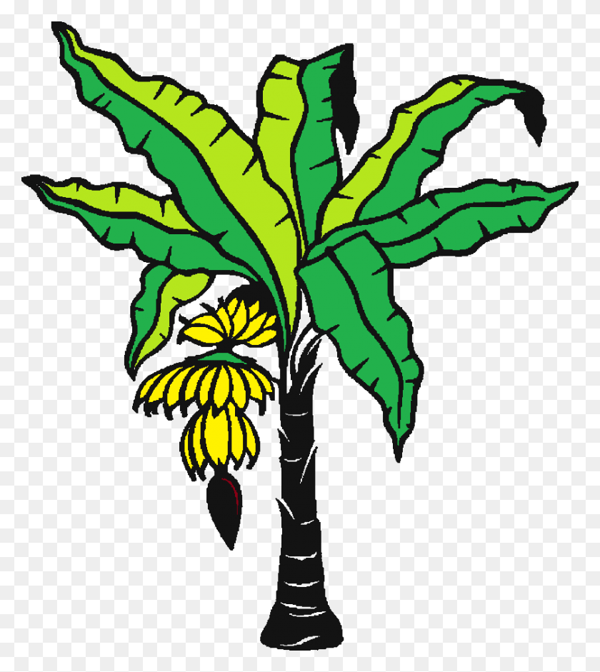 Detail Banana Tree Clipart Nomer 44