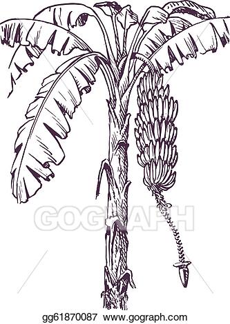 Detail Banana Tree Clipart Nomer 46