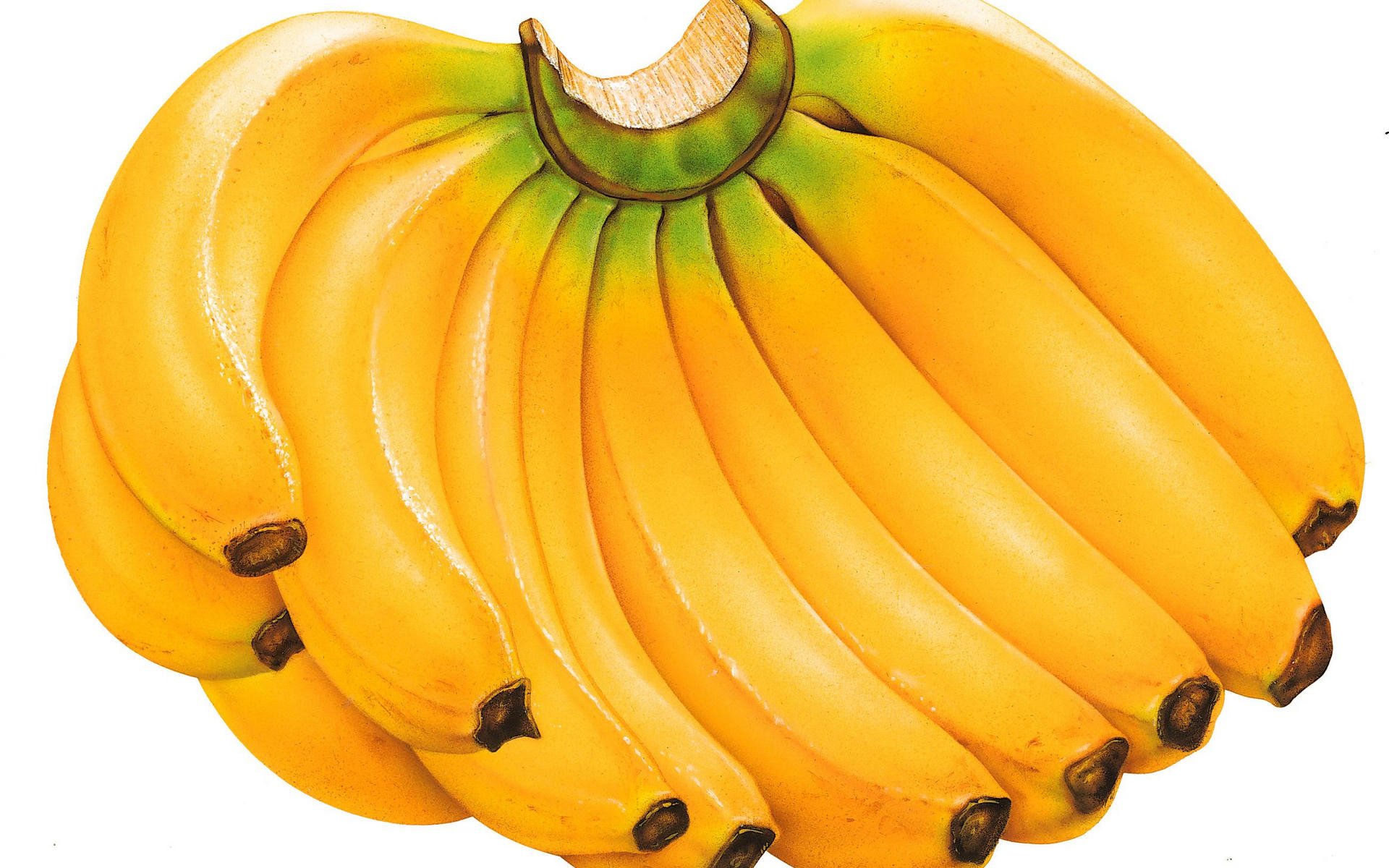 Detail Banana Wallpaper Hd Nomer 31