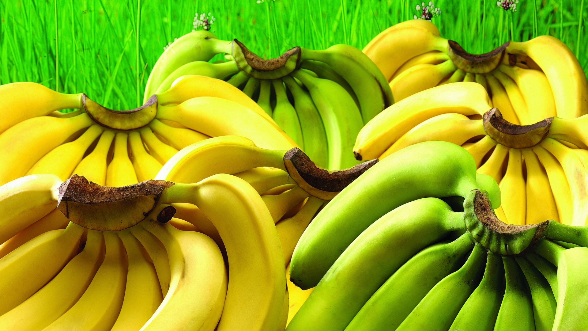 Detail Banana Wallpaper Hd Nomer 47