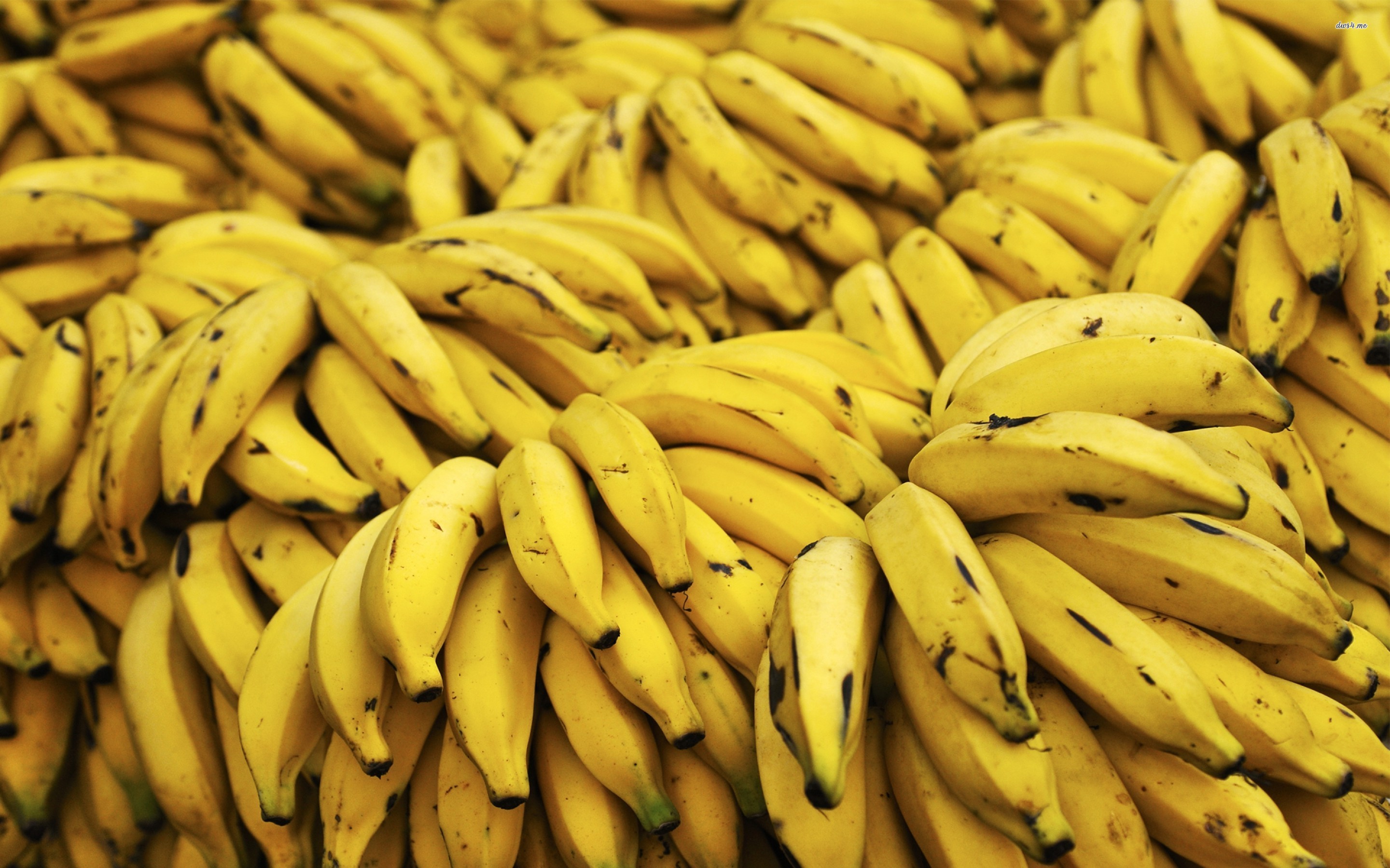 Detail Banana Wallpaper Hd Nomer 56