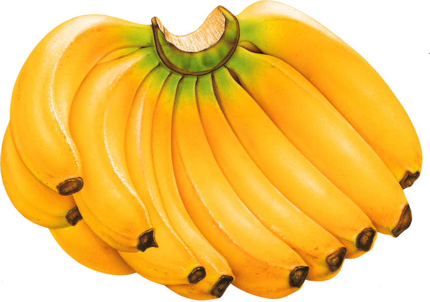 Detail Banana With No Background Nomer 38