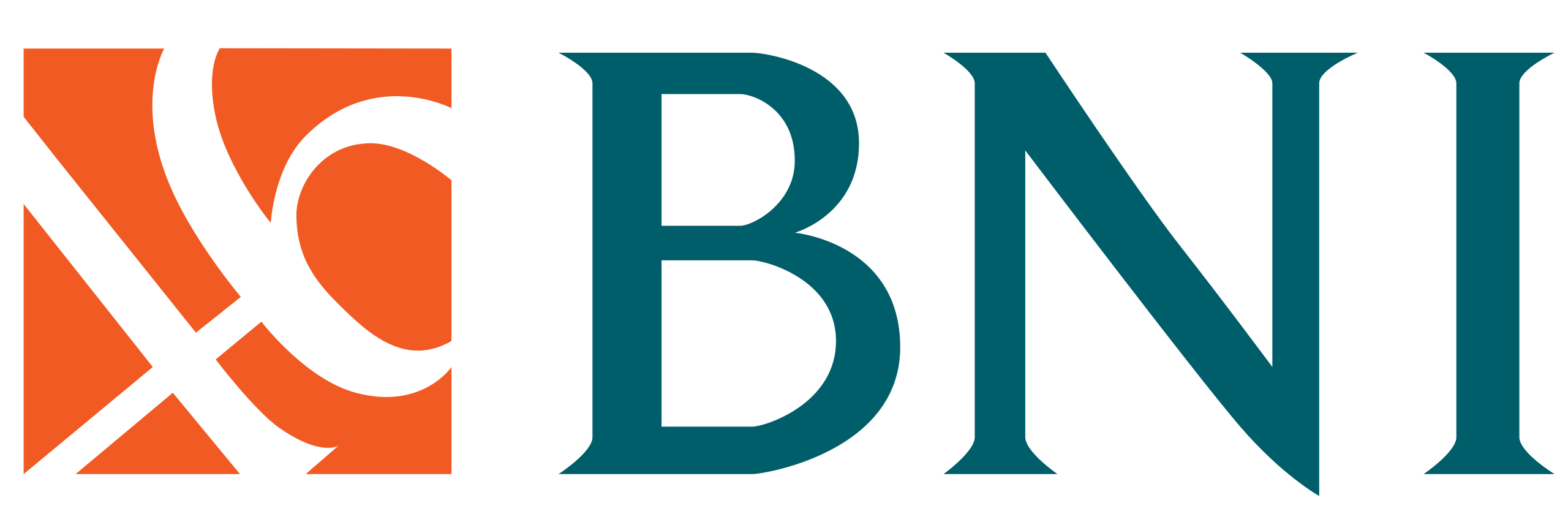 Bank Negara Indonesia Logo - KibrisPDR
