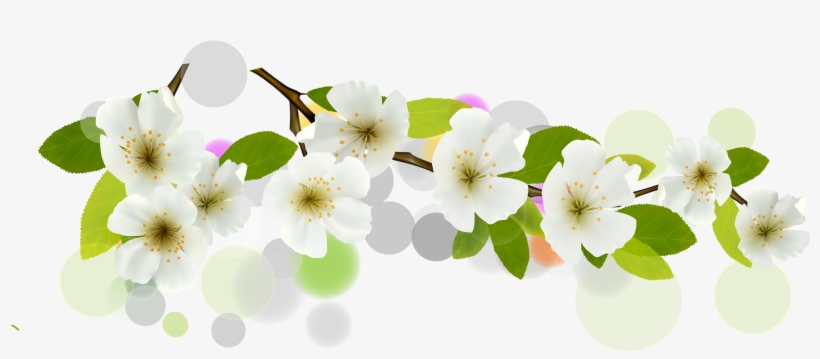 Detail Banner Flower Png Nomer 22