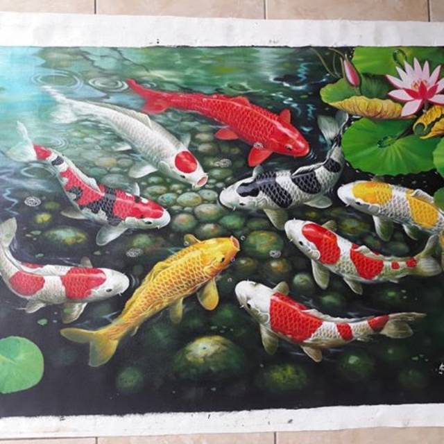 Detail Banner Ikan Koi Nomer 48