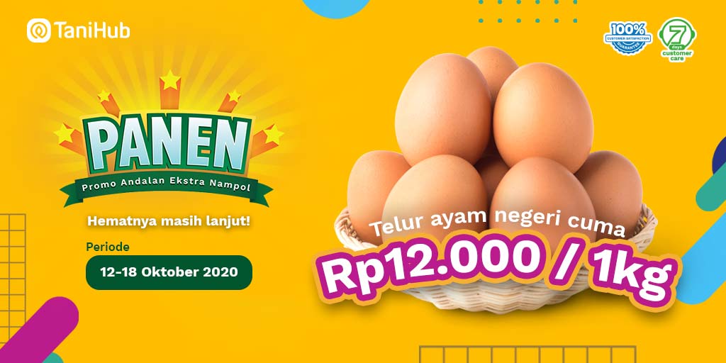 Detail Banner Jual Telur Ayam Nomer 17